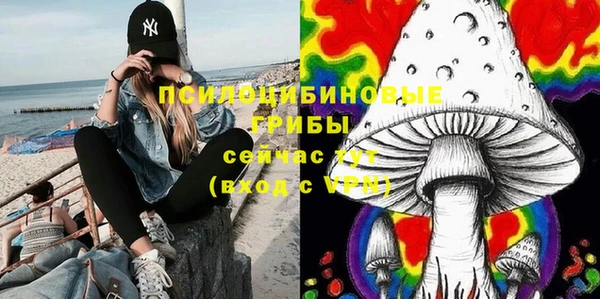 2c-b Алексеевка