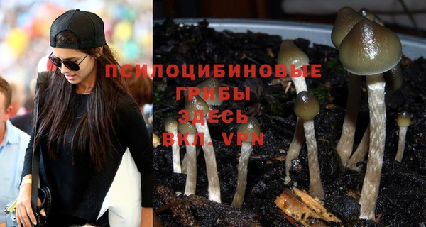 хмурый Алексин