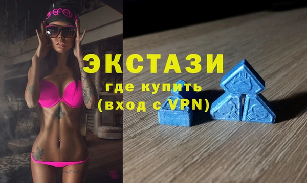 дживик Няндома