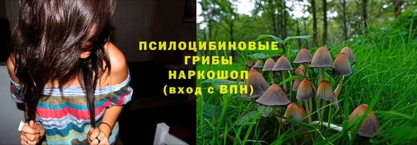 2c-b Алексеевка