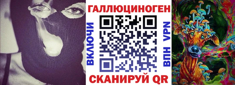 Псилоцибиновые грибы Psilocybine cubensis  сколько стоит  Королёв 